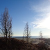 Standard a7b7564e 4597 40d8 bbb9 215e0f2a08e7